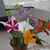 Christine Robinson's profile image