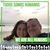 Andrea Wilmoth Stanojevic's profile image