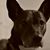 Christina M Mcglynn's profile image