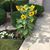 Karen Wend-Lebert's profile image