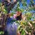 Dayna Jones's profile image