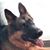 Krystin Manweiler's profile image