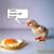 Brian Beamer's profile image