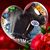 Leigh Lomax's profile image