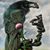 Eric Spoon Heiden's profile image