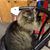 Sherry Campbell's profile image