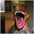 Andrea Blackmer's profile image