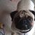 Christine Breig's profile image