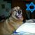 Brian Fleischer's profile image