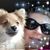 Jennifer Zimmerlee Burgei's profile image