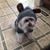 Nic Busse's profile image