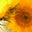 jennifer's profile image