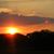 Melissa Martin O'Hern's profile image