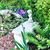 Patty Fuhr's profile image