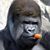 Enrique Servantes's profile image