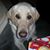 Steve Repak's profile image