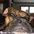 David Decker's profile image