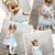 Nina M Corser-Smith's profile image