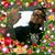 Brian Hohman's profile image