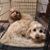 Heather Fritsch's profile image