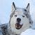 Sherri Watson's profile image