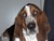 TERESA M.'s profile image