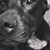 Melissa Basinger Green's profile image