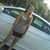 Holly Baucom-Weatherby's profile image