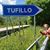 Valerie Pacilla-Espino's profile image