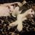 Mary Watson's profile image