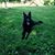 Wendy Lizotte Younk's profile image