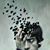 Ross Dineen's profile image