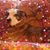 Rhonda Wickline's profile image