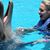 Shannon Blankenship-Wright's profile image