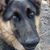 Christie Nichols Duty's profile image