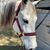 Caitlin Larissa Biser's profile image