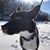 Ron Klemm's profile image
