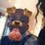 Andrea Walker's profile image