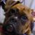 Lorie Curry's profile image