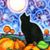 Kat O'Dowd's profile image