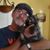 Robert Pipher's profile image