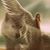 Lynn Meyer-Barlass's profile image