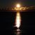 Noah Chace's profile image