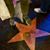 Jerry Williams's profile image