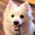 Mary Guyre Ganguzza's profile image