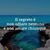 Giuseppe Sollo's profile image