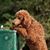 Barb Rickabus Mitchell's profile image