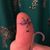 Shane Hockin's profile image