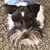 Laura M Franklin's profile image
