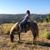 Kathy Mitchell's profile image